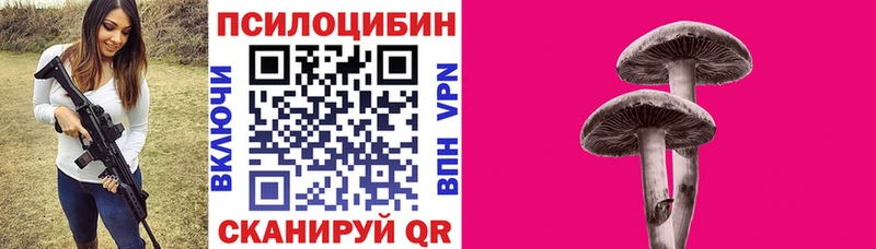 купить наркоту  Сураж  Галлюциногенные грибы Cubensis 